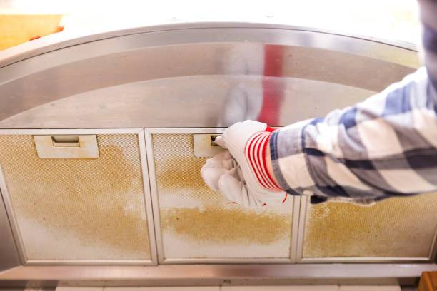 chimney service in noida