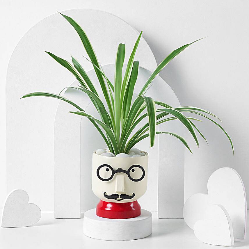The Mustache Buddy Planter