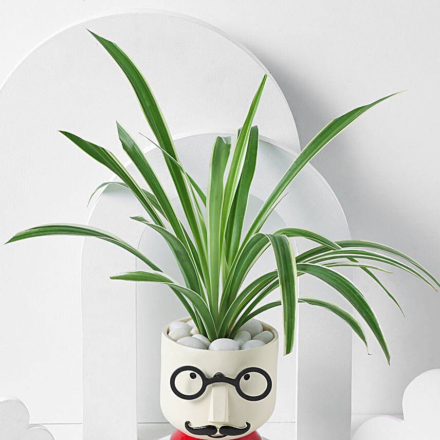 The Mustache Buddy Planter