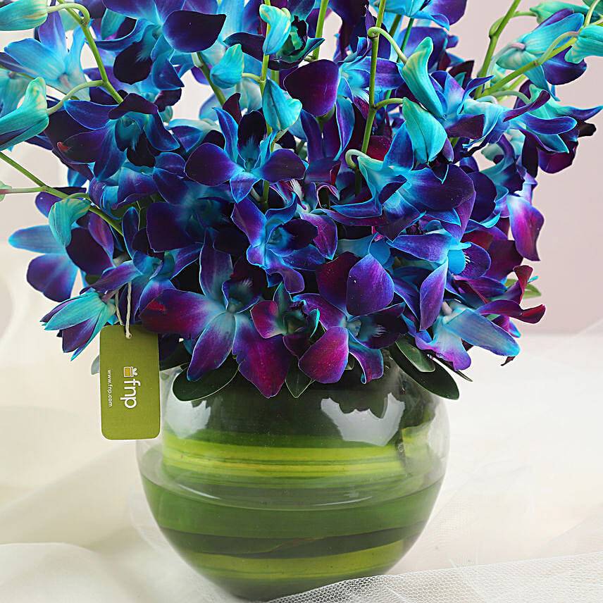 Beautiful Orchids Glass Vase Arrangement