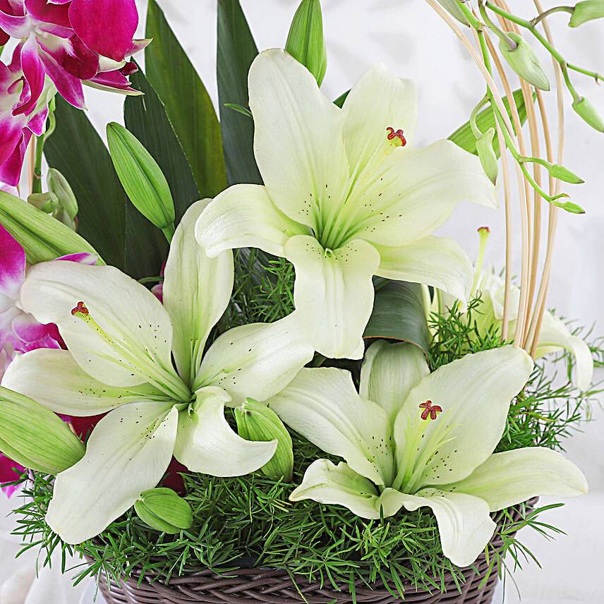 Lilies And Orchids Basket Arrangement