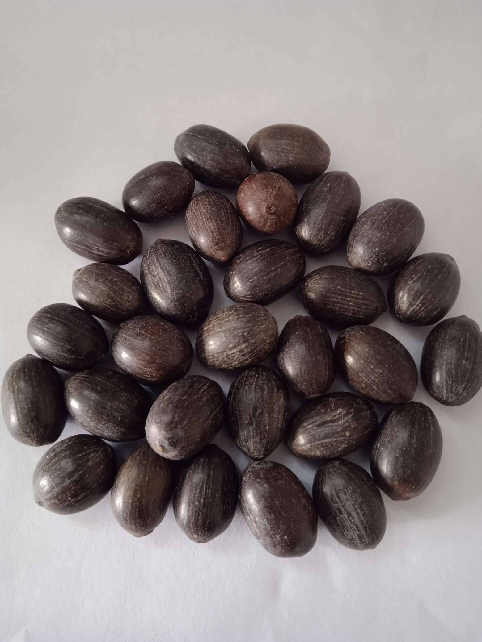 Lotus seeds