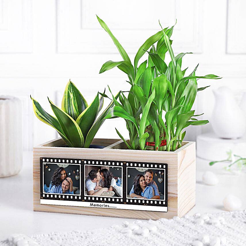 Love & Luck Plant Organiser