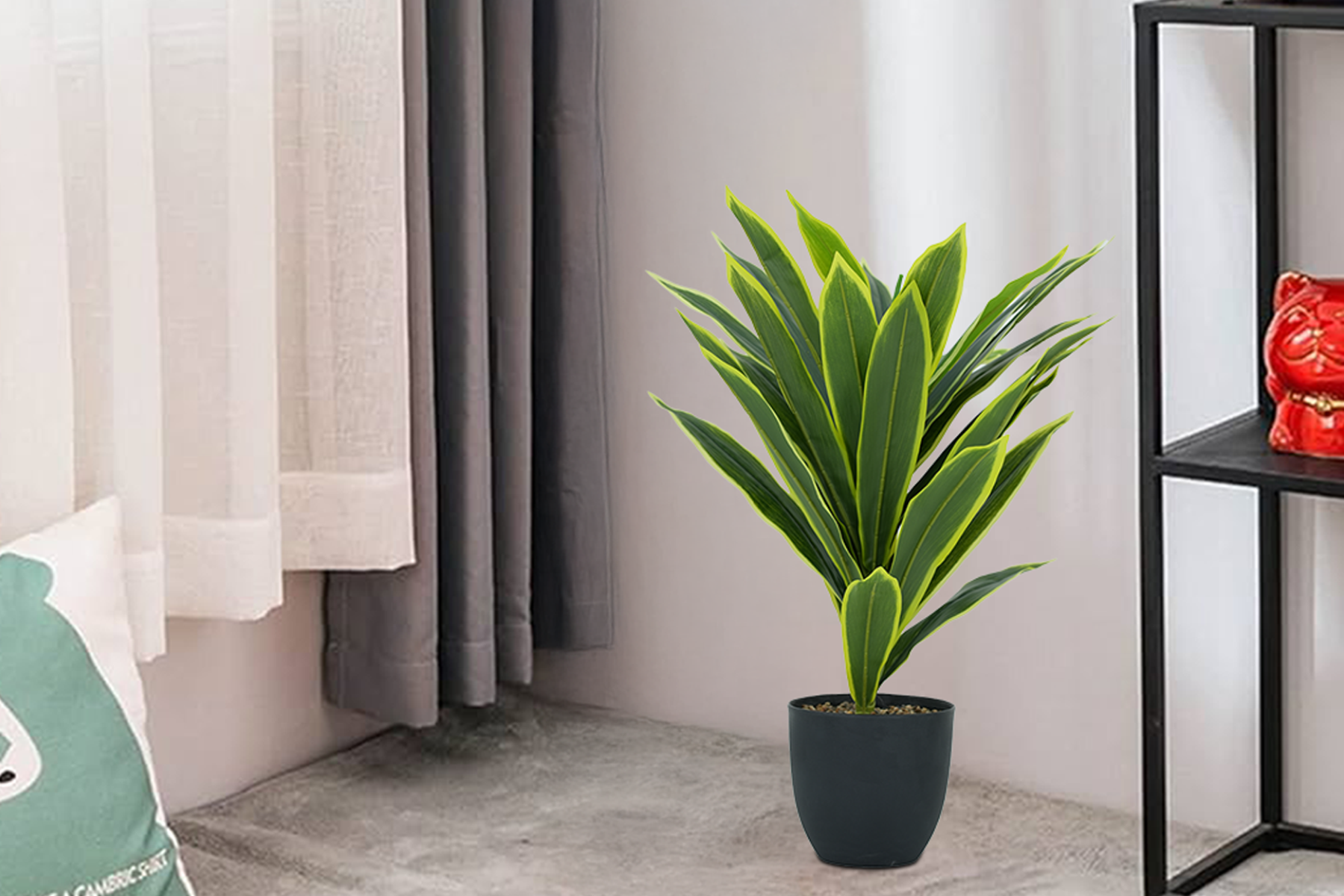 Buy Royaloak Dry Cheena Plant in Home Accessories | Best Home Decor on ...