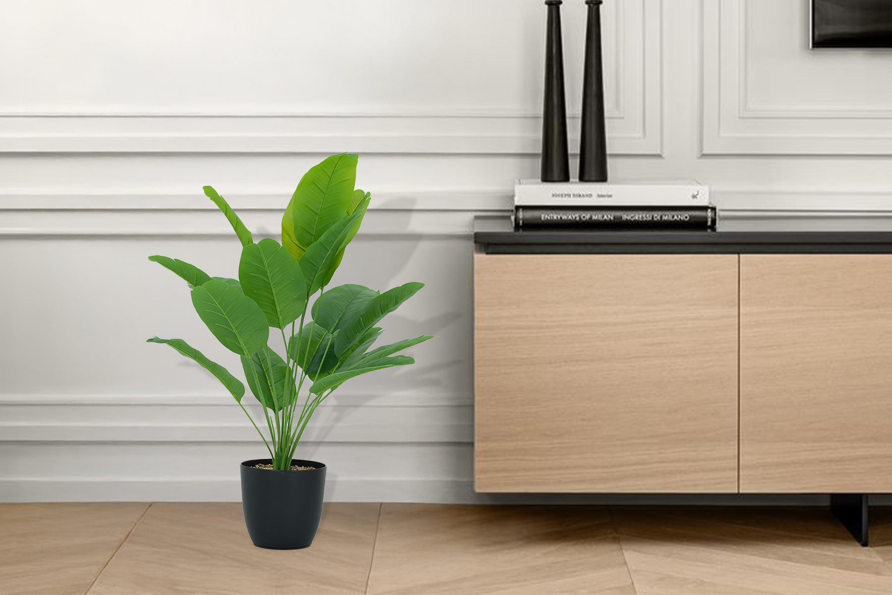 Royaloak Dumb Canes Plant