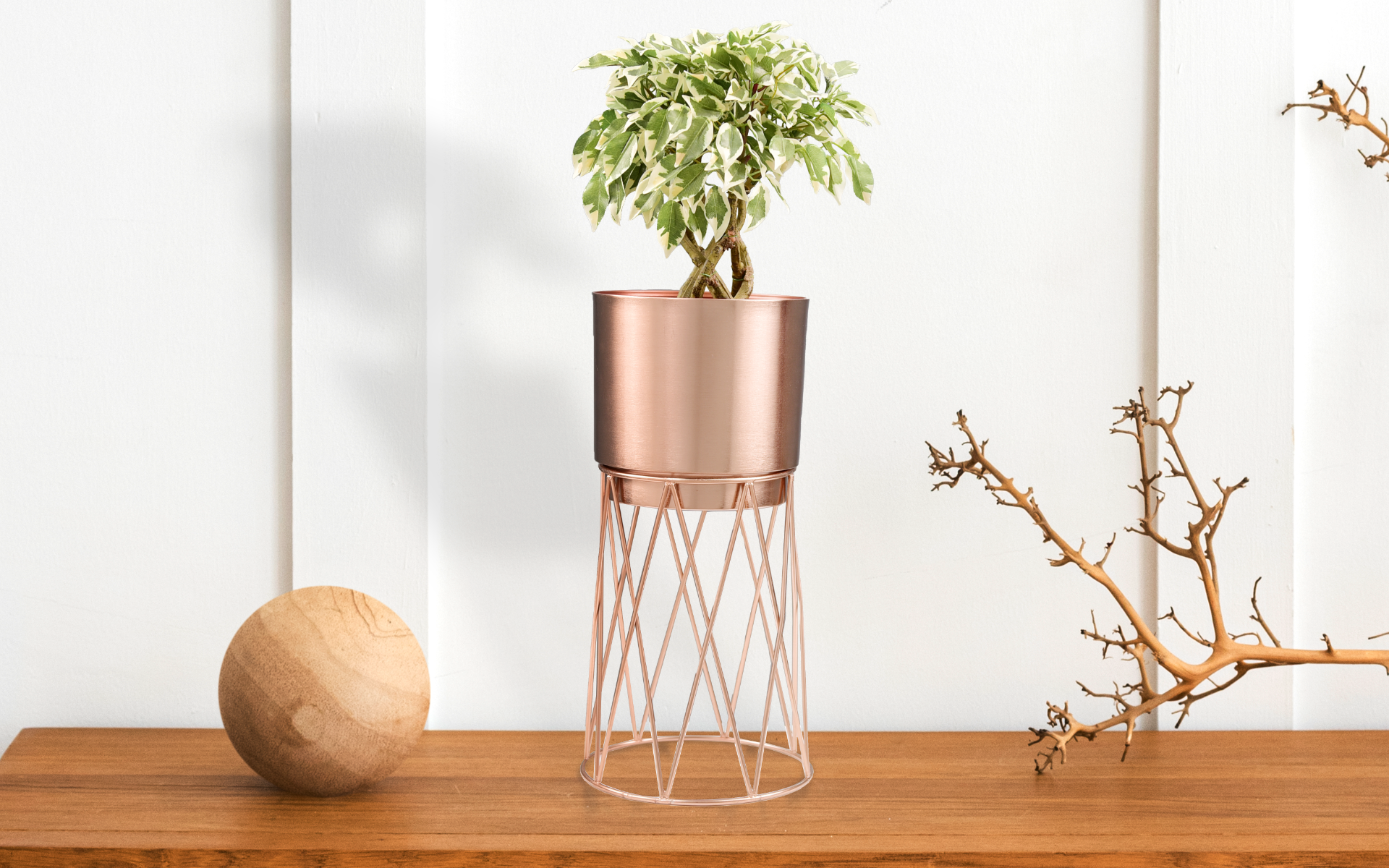 Royaloak Metal Wire Stand Small Planter - Rosegold