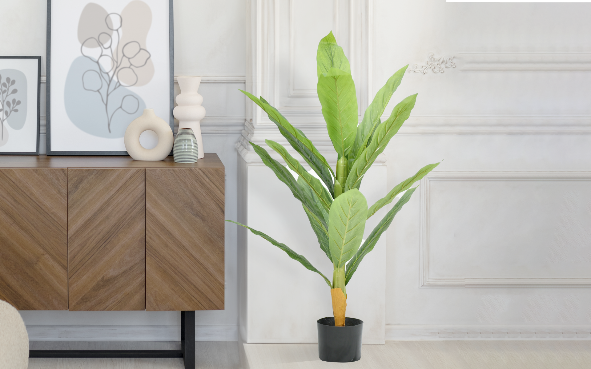 Royaloak Dracaena Fragrans Plant - Green - 39.37 Inches