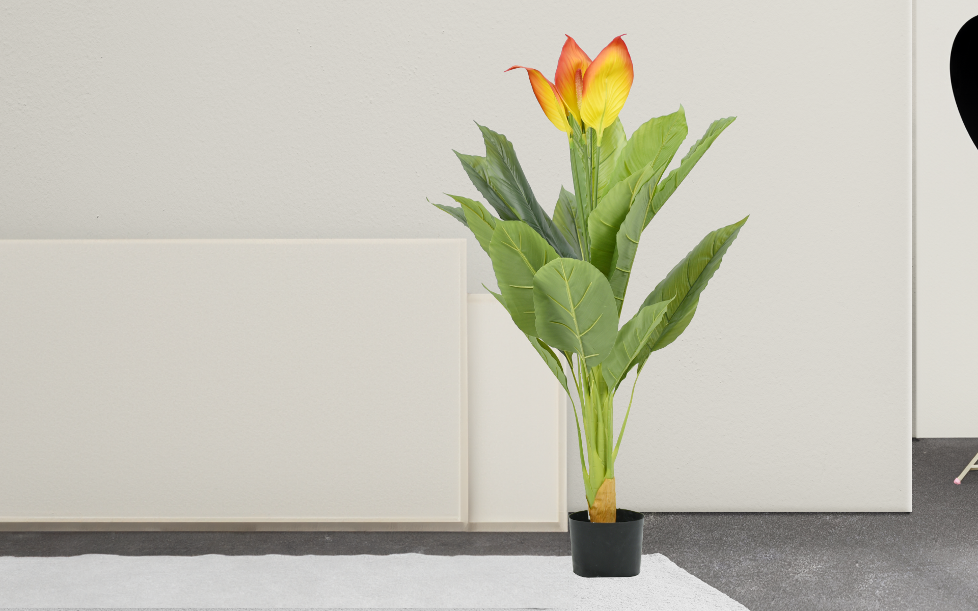 Royaloak Peace Lily Plant - 43.3 Inches