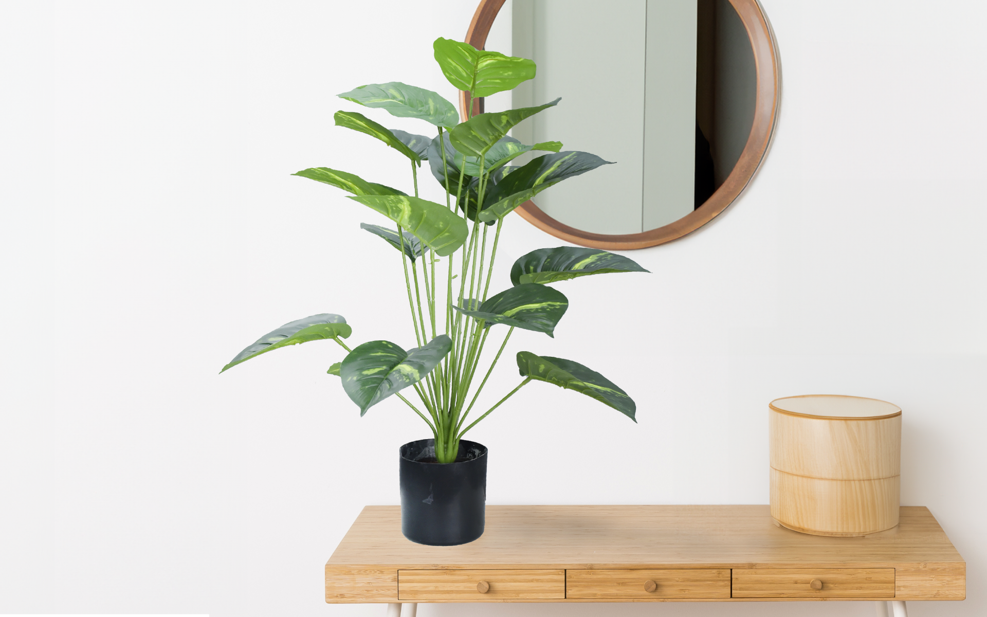 Royaloak Epipremnum Potted Plant - 32 Inches