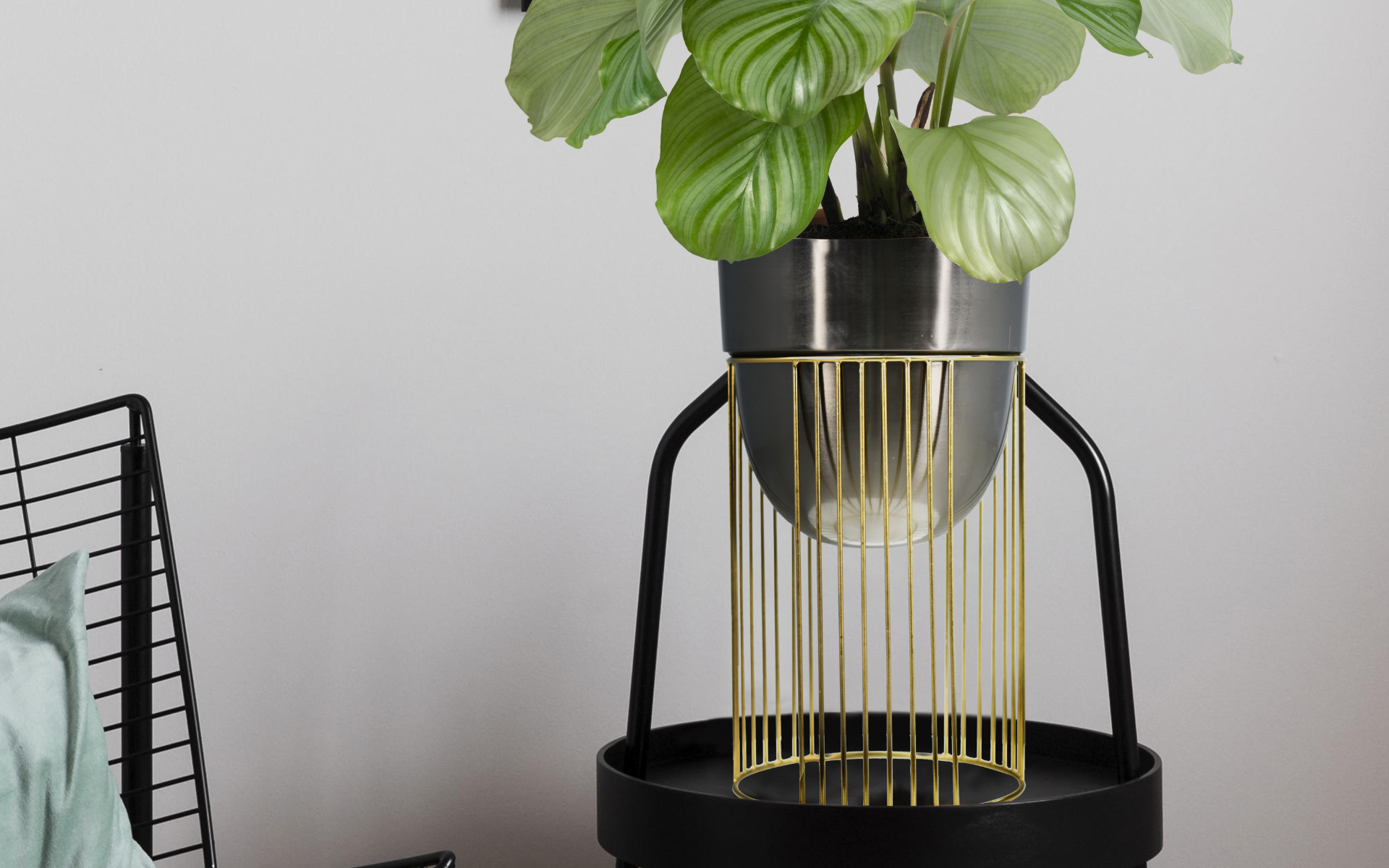 Royaloak Metal Wire Stand Floor Large Planter - Black & Gold