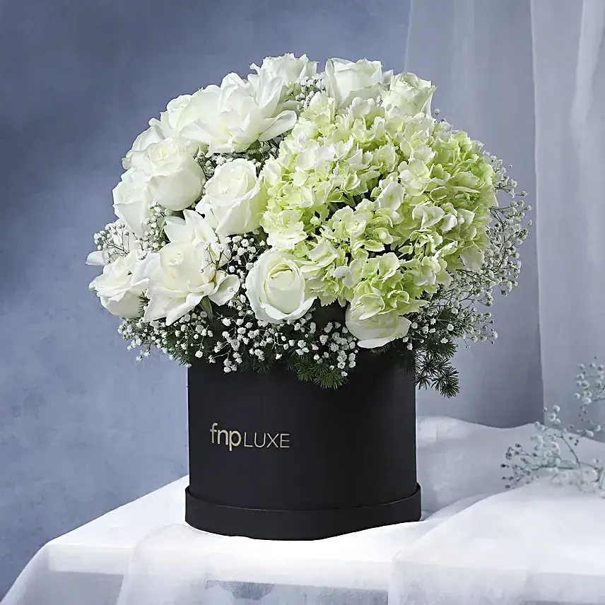 Luminous White Ensemble