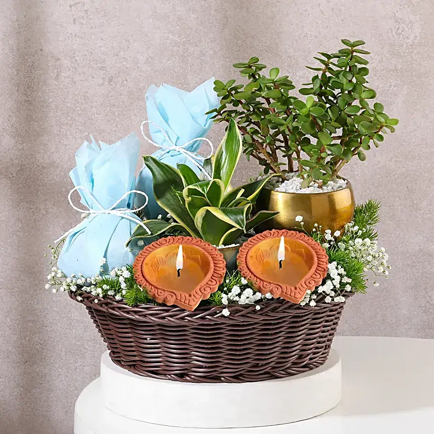 Lush Diwali Green Gift Tray