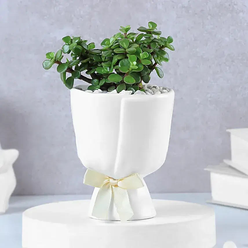 Lush Jade Prosperity Congratulatory Planter