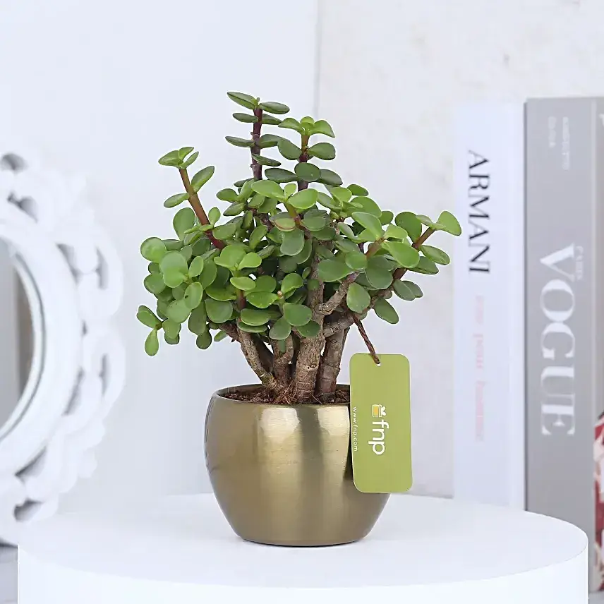 Luxe Leafy Birthday Gift Combo