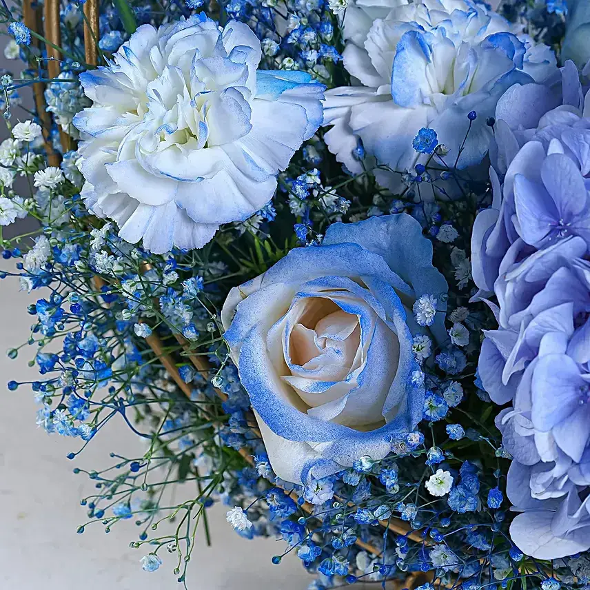 Magnificent Blue N White Union