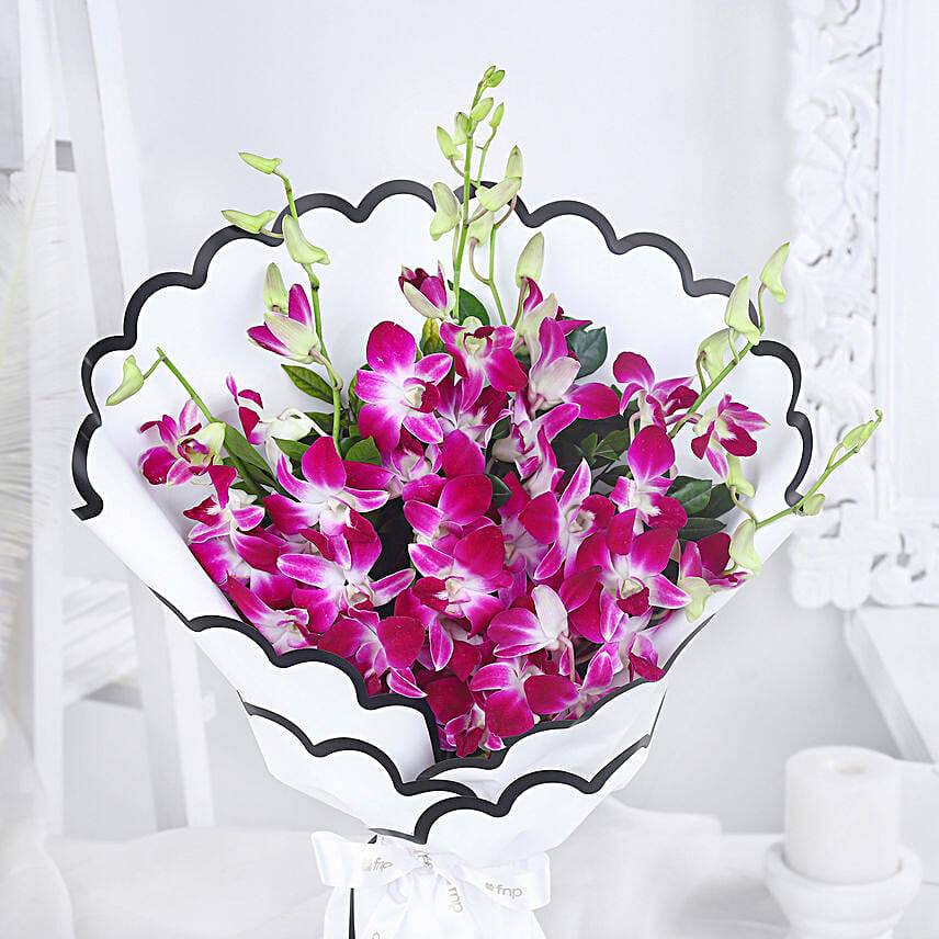 Majestic Orchid Blooms