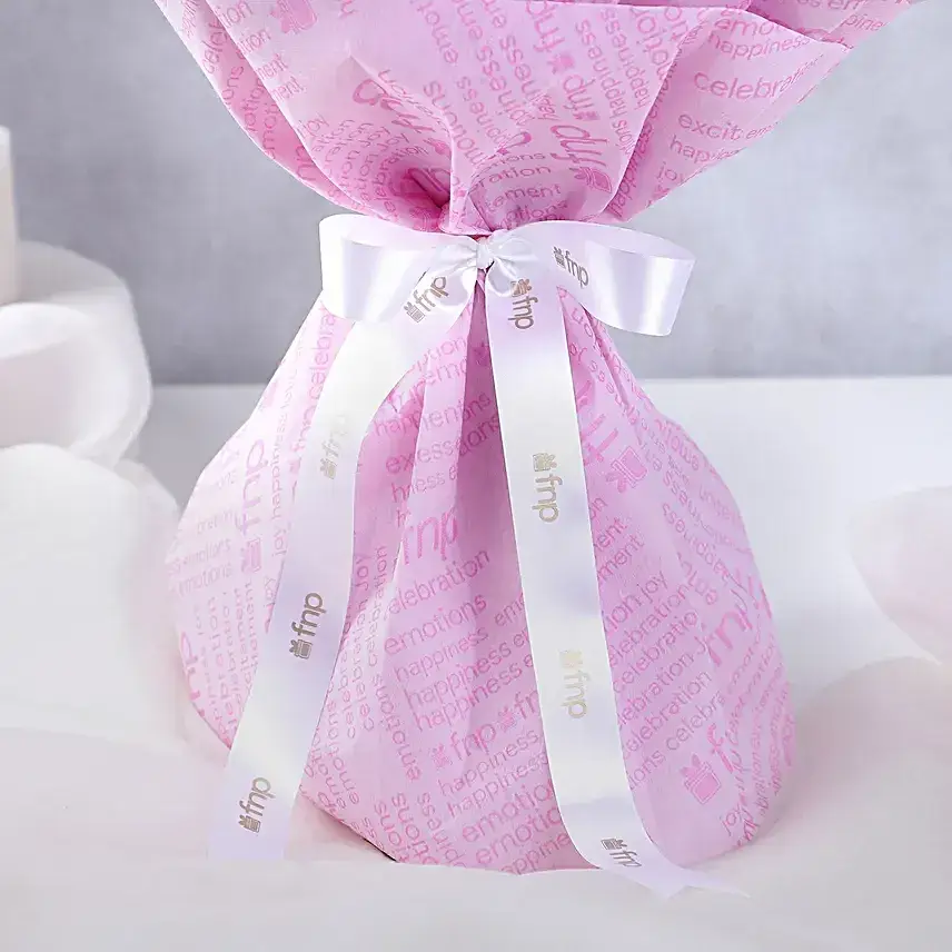 Majestic Orchid Celebration