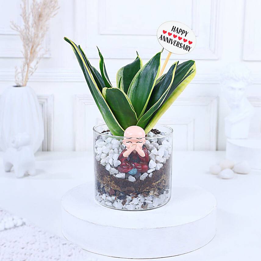 Milestone Bliss Sansevieria Elegance