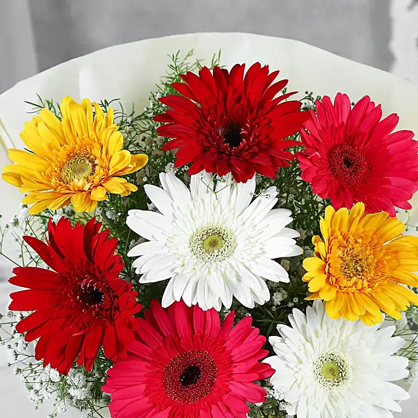 Mixed Brilliance Gerbera Flower Bouquet