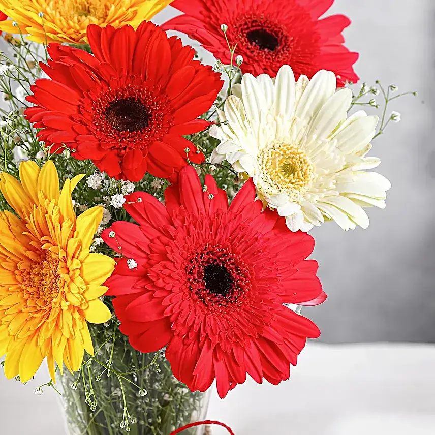 Mixed Brilliance Gerbera Vase