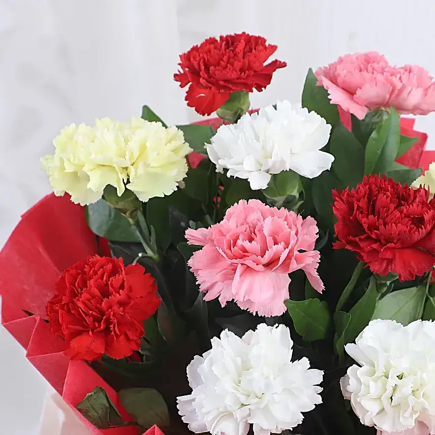 Elegant Mixed Carnations Bouquet