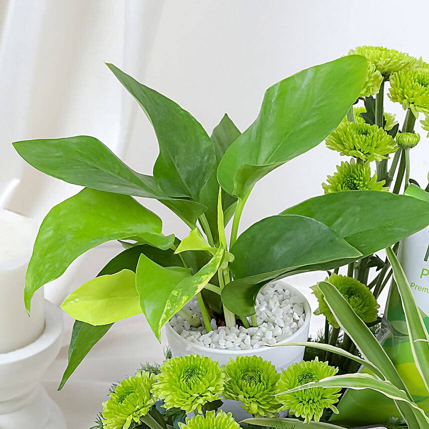 Mom’s Day Garden Love Crate