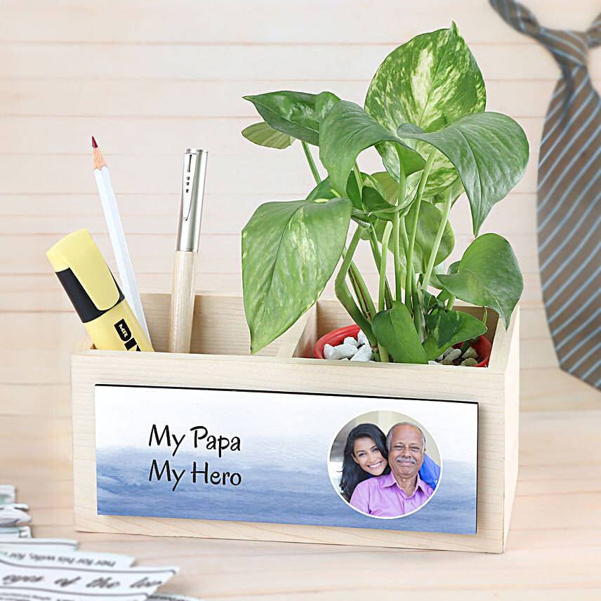Money Plant For Super Dad