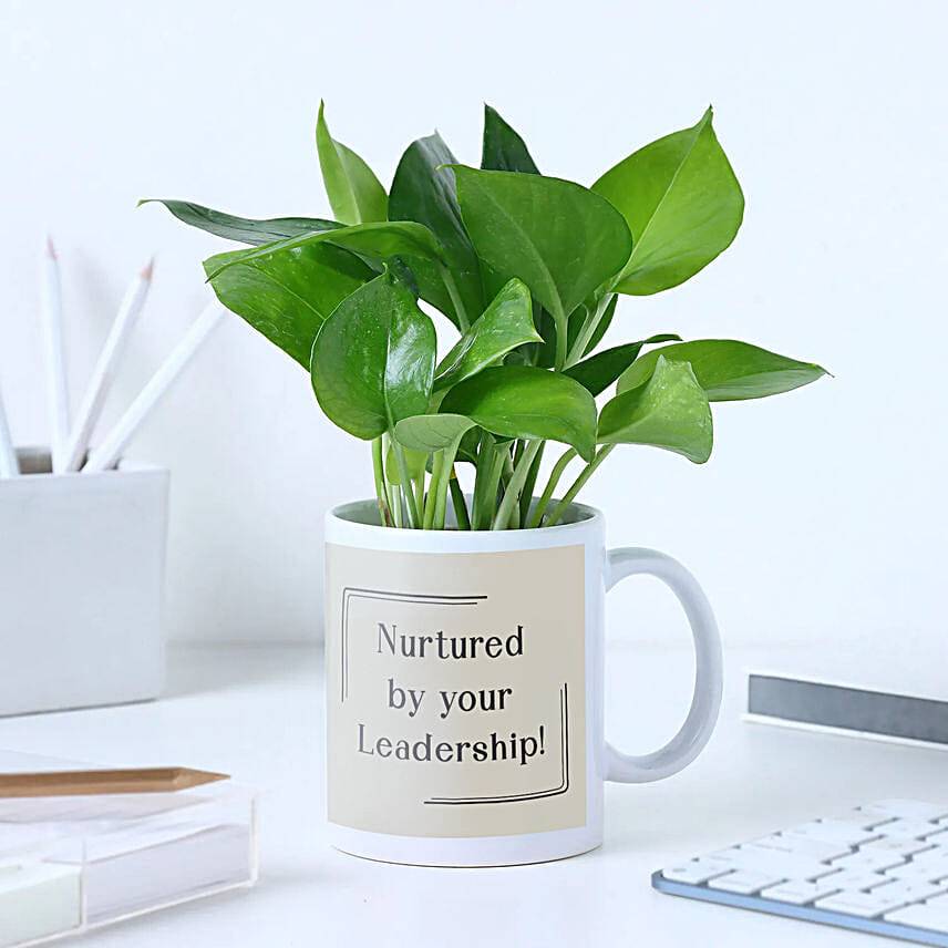 Money Plant Gift Set For Boss Day