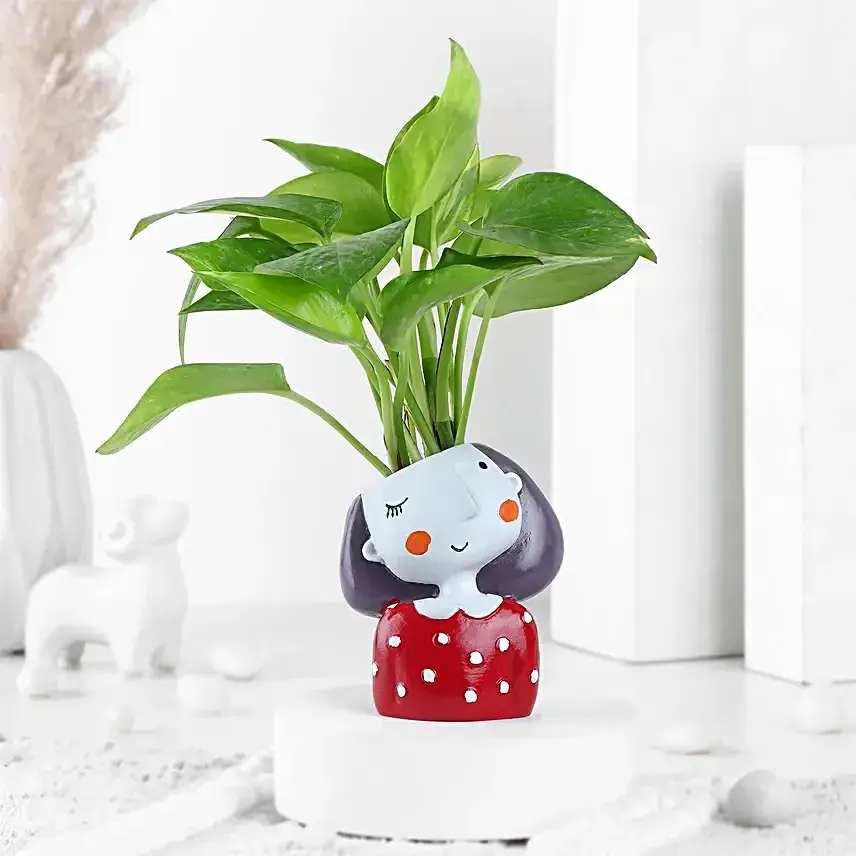 Money Plant in Girl Resin Pot & Cadbury Chocolates