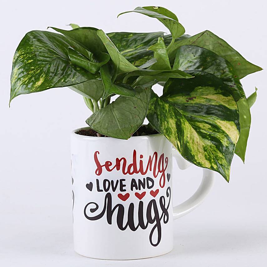 Money Plant In Love & Hugs Mug