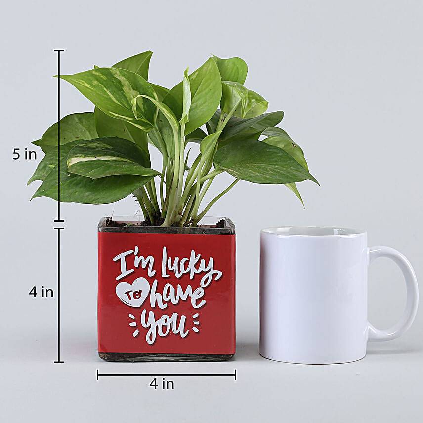 Money Plant In Lucky To Have You Glass Pot