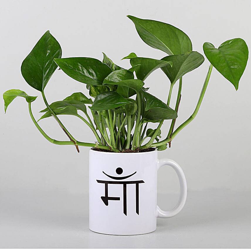 Money Plant In Maa Printed Mug