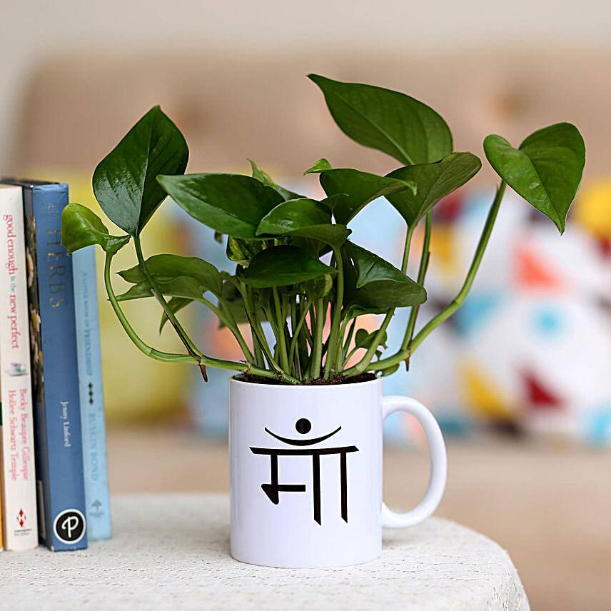 Money Plant In Maa Printed Mug
