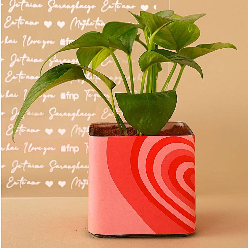 Money Plant In Love Vase