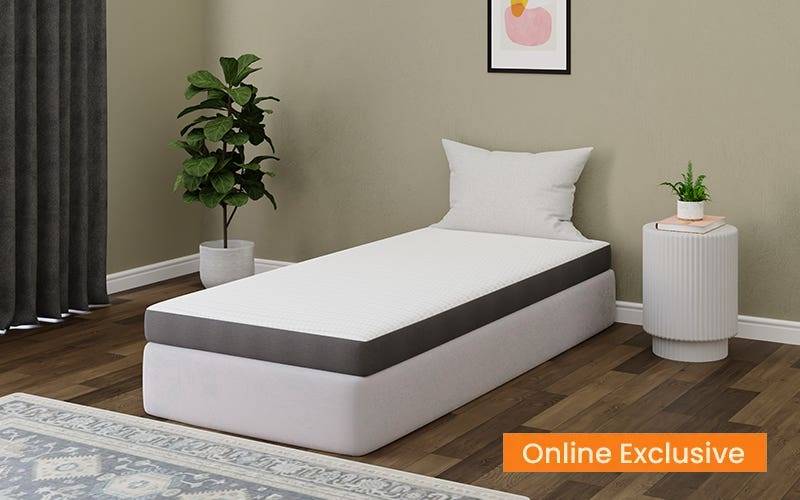 Royaloak SnoozZ Foam Single Mattress