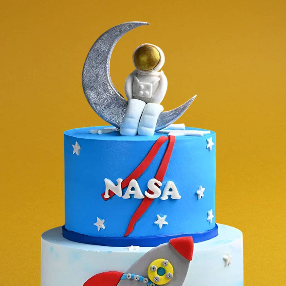 NASA Astronaut Cake