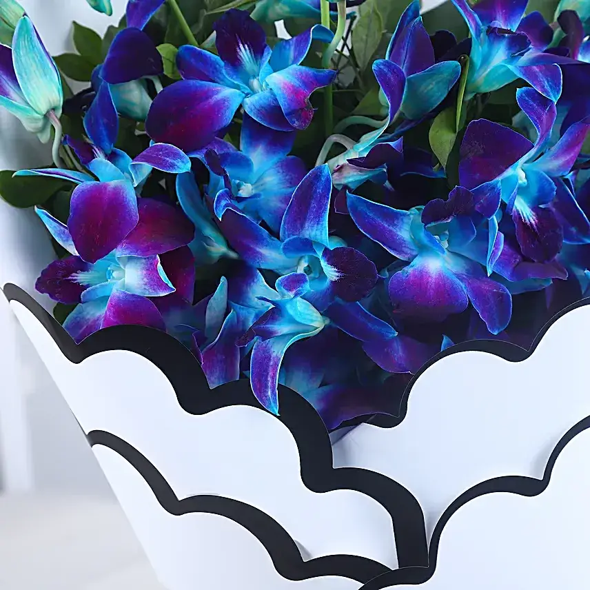 Orchid Bloom for Her