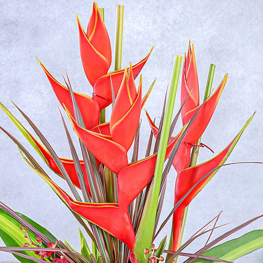 Orchid Serenity Arrangement