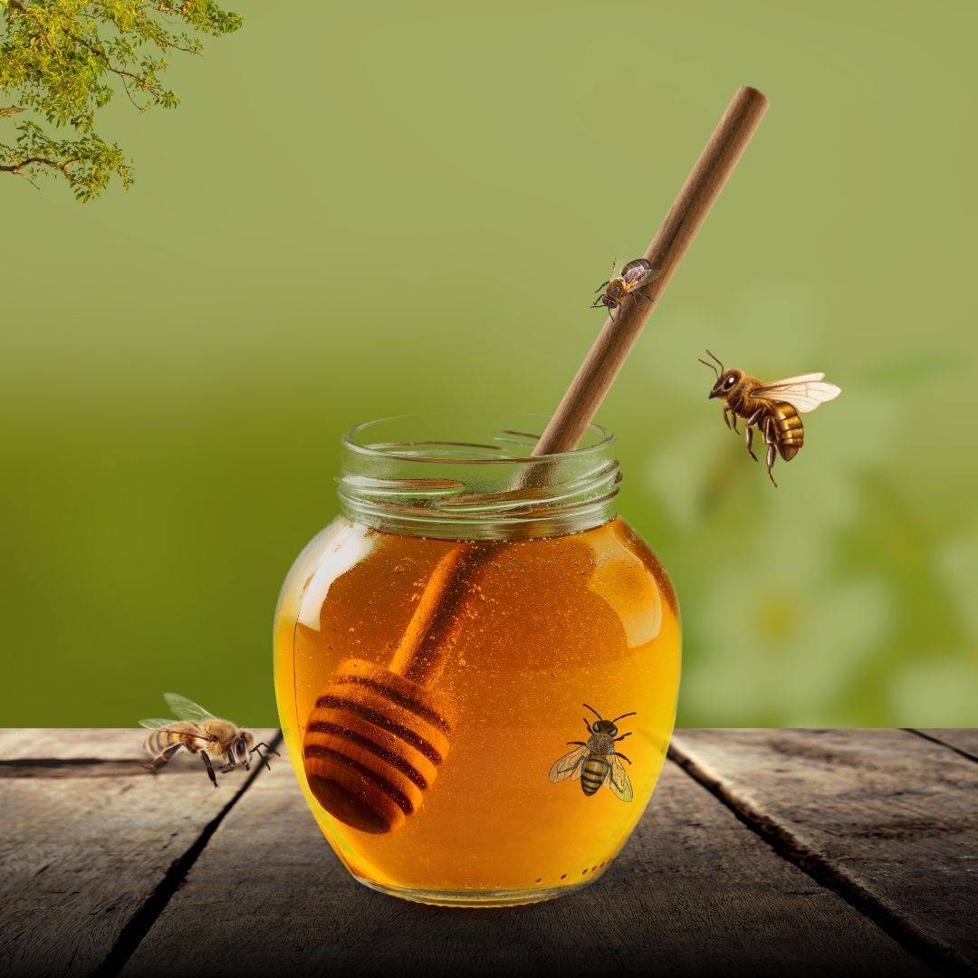 Buy Organic Wild Forest Honey Online at Nirvana Organic 