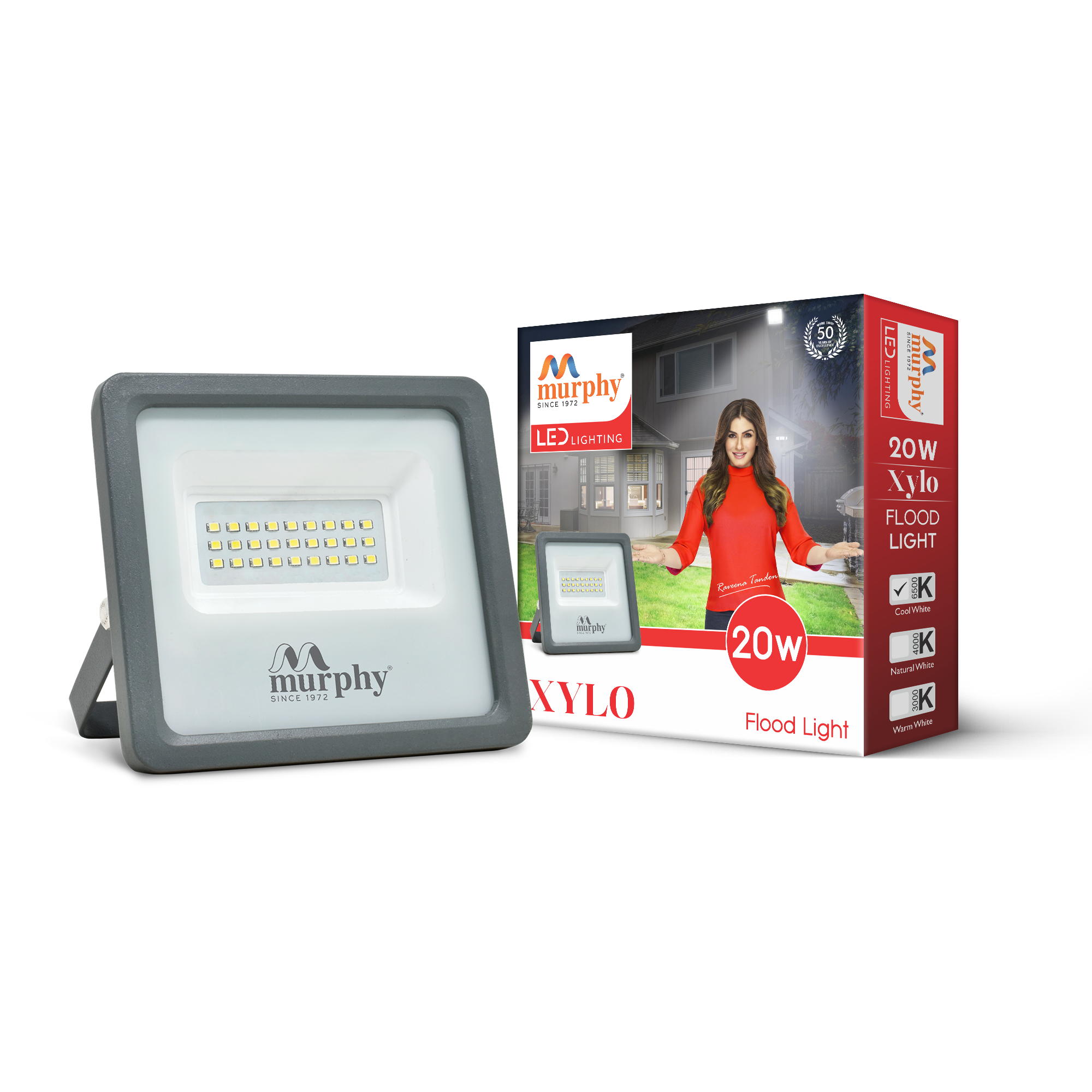 20W LED Flood Light - XYLO
