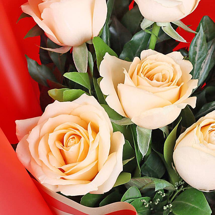 Peach Reverie Rose Eleganc