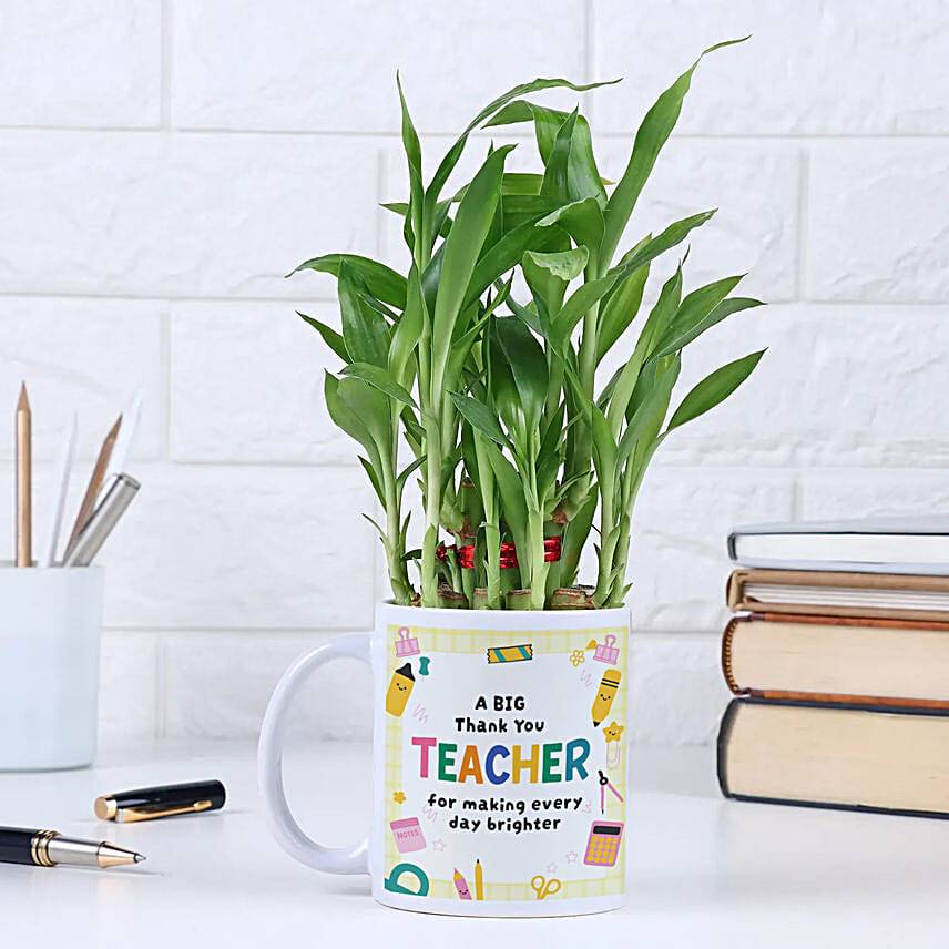 Lucky Bamboo Gift Set