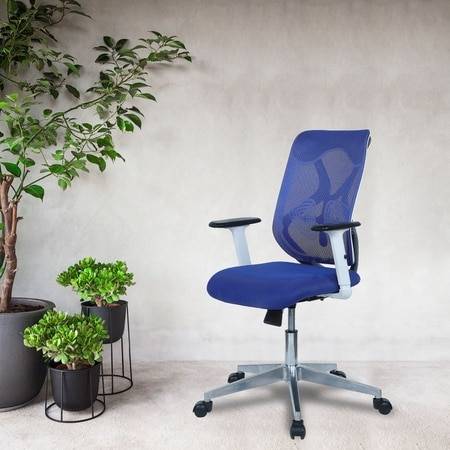 Wiwngas Mid Back Ergonomic Chair in Blue Colour