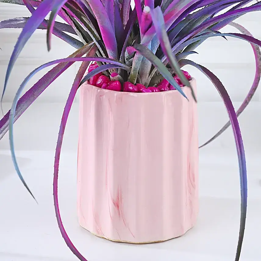 Pineapple Pink Pot Harmony