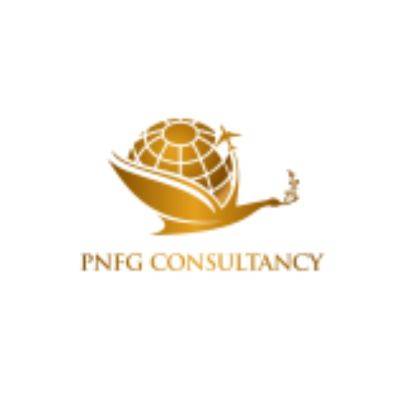 PNFG CONSULTANCY