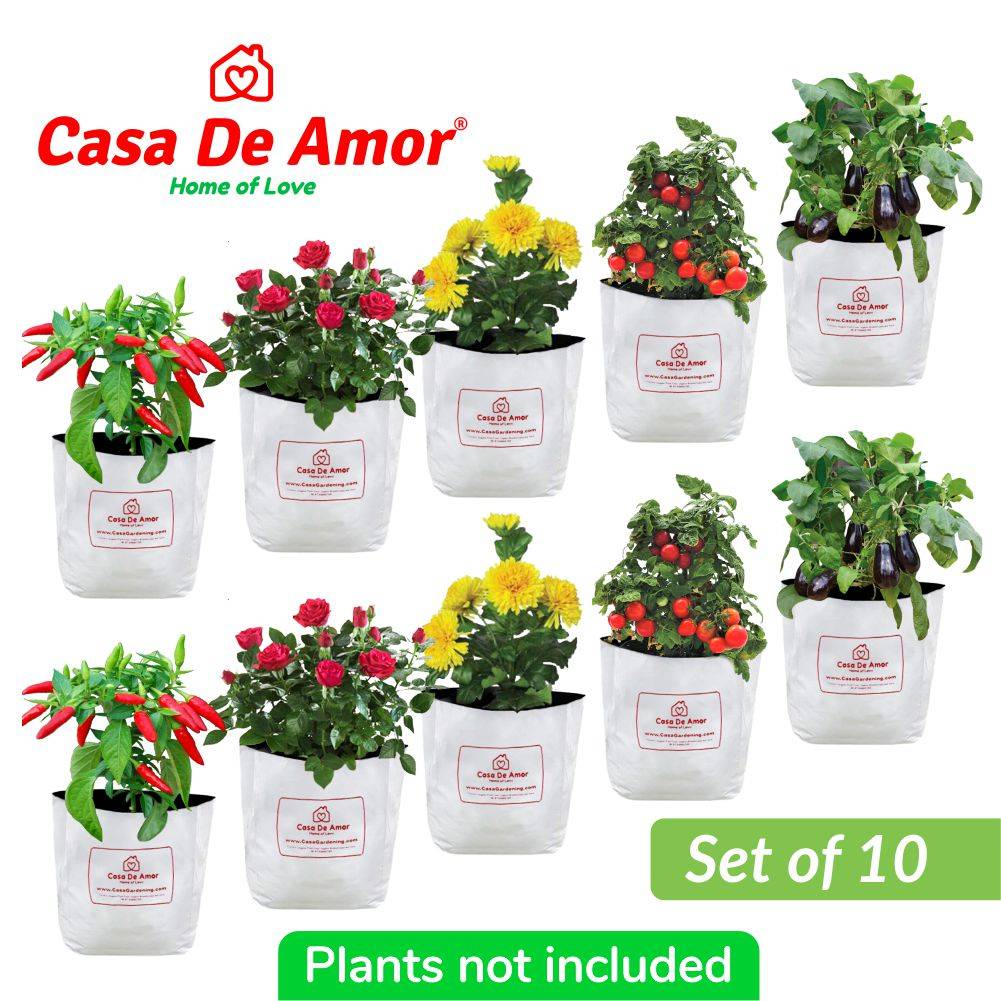 Poly Grow Bags (10), Best for Kitchen Gardens, Terrace Gardens, Balcony Gardens