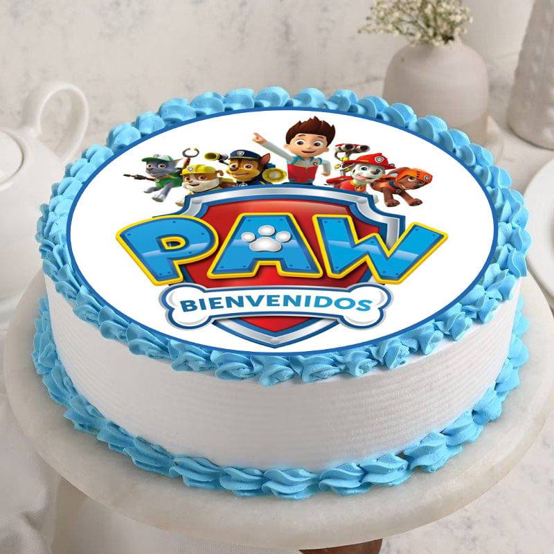 Pretty Paw Patrol Poster Cake