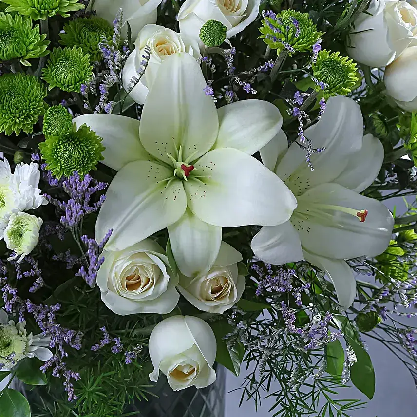 Pristine White Assemblage