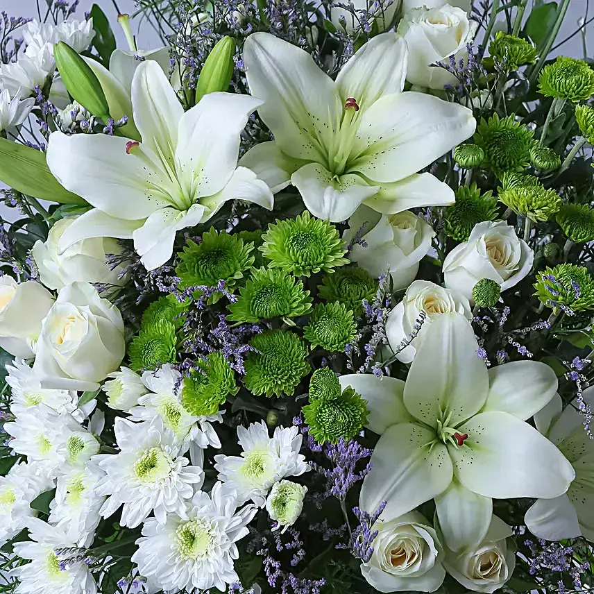 Pristine White Assemblage