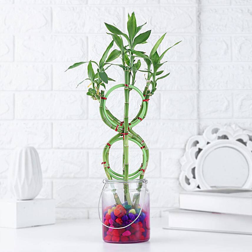 Prosperity 8-Shaped Bamboo Gift